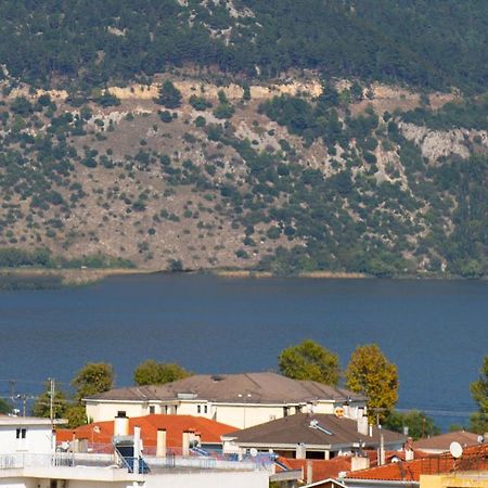 Modern Lake View Apartment Ioannina Exterior photo